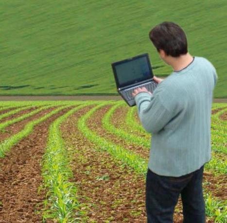Les agricultures du futur sont d&eacute;j&agrave; l&agrave; | Pour innover en agriculture | Scoop.it