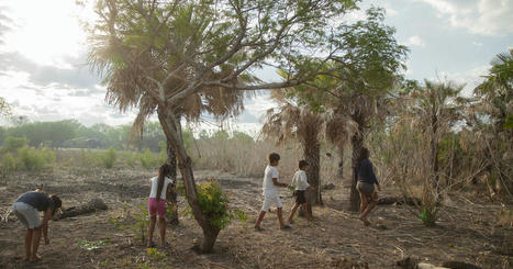 D&eacute;forestation&nbsp;: au Paraguay, une politique de b&oelig;ufs&nbsp; | AM&Eacute;RIQUES | Scoop.it