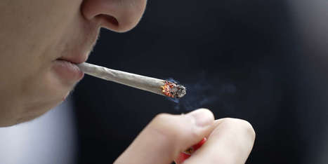En Europe, les adolescents consomment davantage de cannabis, et moins de tabac et d’alcool | Débat cannabis | Scoop.it