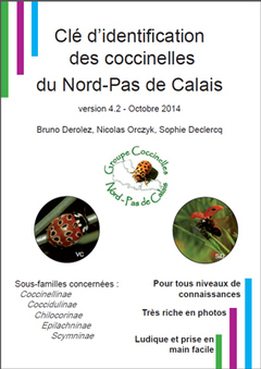 Les Coccinelles n'auront plus de secret pour vous ! | Nature en ville | Scoop.it