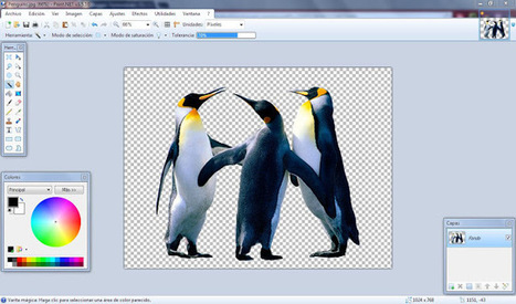 Como quitarle el fondo a una imagen con Paint.NET | TACTIC | Scoop.it