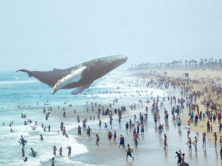 The virtual reality wars are heating up | Technology Report - Changing Our World | Scoop.it