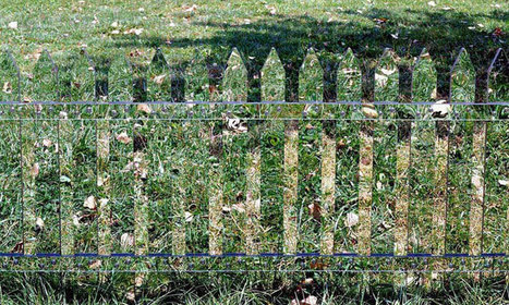 Une artiste cr&eacute;e des cl&ocirc;tures compos&eacute;es de miroirs qui se fondent dans la nature | Landart, art environnemental | Scoop.it