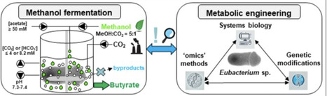 Anaerobic microbial methanol utilization as a one-carbon feedstock | Cin | RMH | Scoop.it