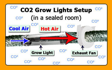 Pros And Cons Co2 Generator In Grow Weed Easy Scoop It