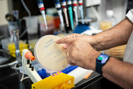 The Largest Ever Series of Phage Therapy Case Studies Shows a Success Rate of Over 50% | Amazing Science | Scoop.it