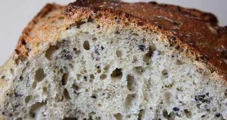 Boulangerie : des algues pour saler le pain - Agro Media | Ingrédients de boulangerie pâtisserie | Scoop.it