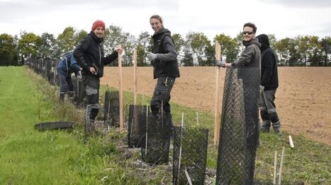 "Concilier agriculture et écologie n’est pas incompatible" : à Dolus-le-Sec, la ferme de Belêtre veut renforcer sa résilience | Revue de presse économique du Sud Touraine | Scoop.it