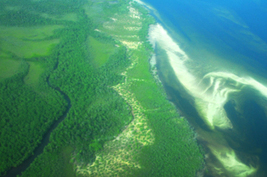 Africa Adaptation Knowledge Network (AAKNet) Endorsed as Key Tool to Step up Climate Change Adaption Efforts on Vulnerable Continent | Climate Change & DRR in East Africa | Scoop.it