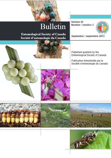 Société d’entomologie du Canada : Bulletin en ligne | Insect Archive | Scoop.it