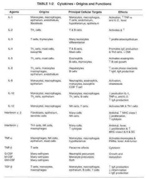 Información general sobre Inmunología | Immunology for University Students | Scoop.it