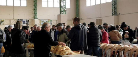 Foie gras dans le Gers : la reprise des marchés au gras se confirme, malgré la hausse des coûts de vaccination | Professionnels du tourisme du Grand Auch Cœur de Gascogne | Scoop.it