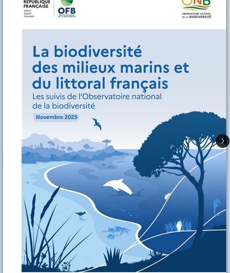La biodiversité des milieux marins et du littoral français - Observatoire national de la biodiversité | Biodiversité | Scoop.it