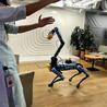 Informatik & Robotik in der Schule