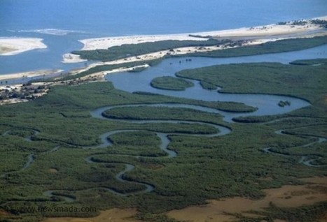 Zones humides de Madagascar : menacées par l’urbanisation croissante  | Zones humides - Ramsar - Océans | Scoop.it