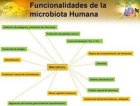 La flora digestiva y su impacto en la salud. | Temas varios sobre Microbiología clínica | Scoop.it