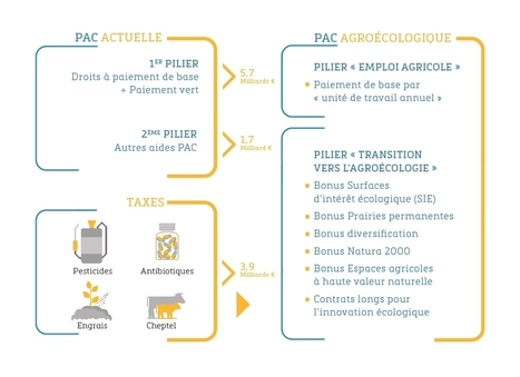 Faire de la politique agricole commune un levier de la transition agroécologique - France Stratégie | Biodiversité | Scoop.it