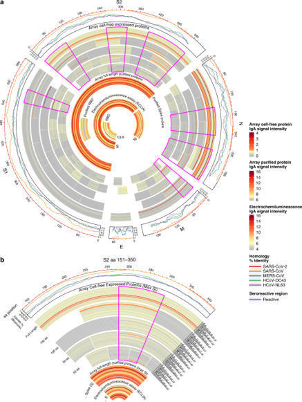 Characterization of SARS-CoV-2 antibodies in human milk from 21 women with confirmed COVID-19 infection | Pediatric Research | Mucosal Immunity | Scoop.it