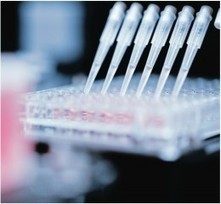 La transformation digitale d'un géant de l'industrie pharmaceutique | Acquia | Digital Pharma news | Scoop.it