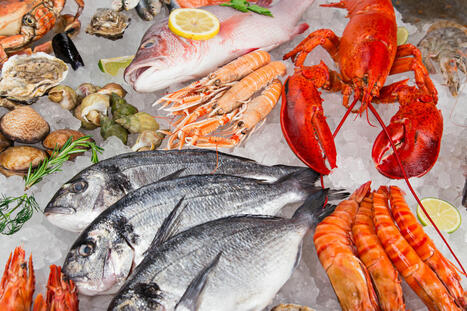 SEAFOOD: Global demand for seafood is soaring but how well funded are aquatic food tech startups? | ALIMENTATIONS | Scoop.it