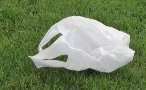 España se prepara para despedirse para siempre de las bolsas de plástico gratuitas | Evaluación de Políticas Públicas - Actualidad y noticias | Scoop.it