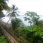 Experience the Natural Beauty of Dominica | Commonwealth of Dominica | Scoop.it