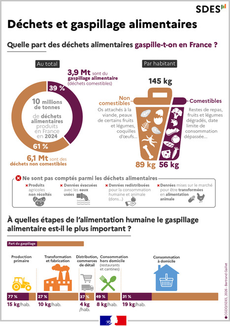 D&eacute;chets et gaspillage alimentaires en France en 2024 : le gaspillage &agrave; domicile toujours pr&eacute;pond&eacute;rant - Donn&eacute;es et &eacute;tudes statistiques | Biodiversit&eacute; | Scoop.it
