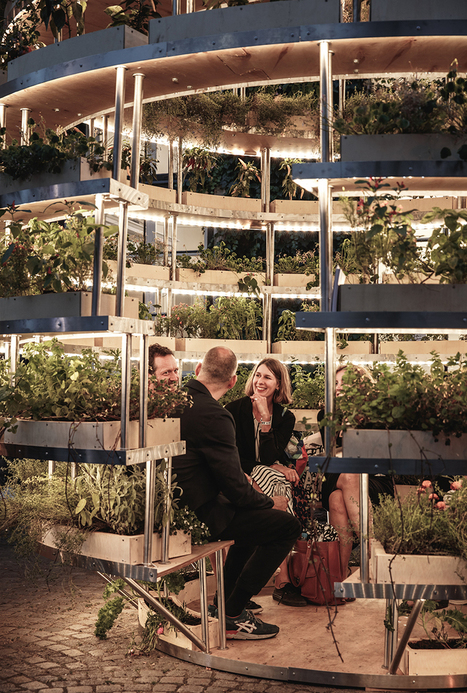 space10 plants inhabitable 'growroom' in copenhagen | ArtTechFood | Scoop.it