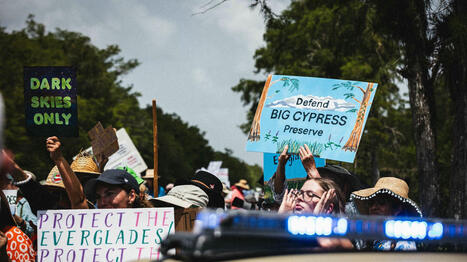 Protester i Florida – vill stoppa ”Alligator Alcatraz” | 1Uutiset - Lukemisen tähden | Scoop.it