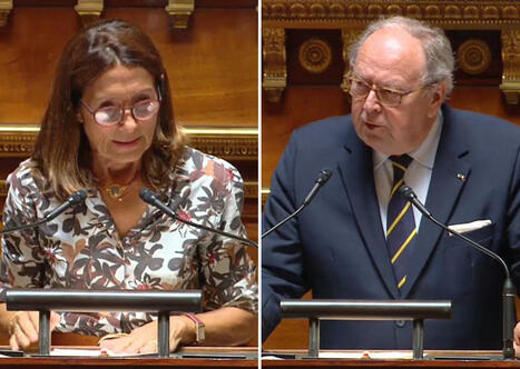 Gemapi : un nouveau texte d’assouplissement adopté au Sénat | Regards croisés sur la transition écologique | Scoop.it