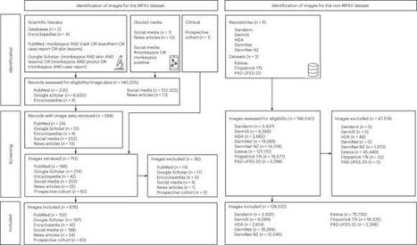 A deep-learning algorithm to classify skin lesions from mpox virus infection | Nature Medicine | Veille MPox | Scoop.it