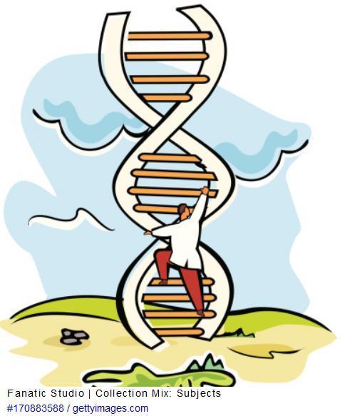 7 Organizational Dna Types Which Is Yours And - clueless codes roblox wiki