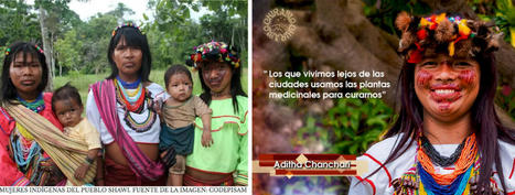 .@Servindi 2018 ::: #Aidesep pide #RESPETO a la libre determinaci&oacute;n del #pueblo_Shawi. @aidesep_org. &ndash; | Le BONHEUR comme indice d'&eacute;panouissement social et &eacute;conomique. | Scoop.it