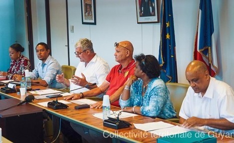 Octroi de mer en Guyane: La CTG lance un projet de révision de l’octroi de mer, crainte de certains socioprofessionnels | Revue Politique Guadeloupe | Scoop.it