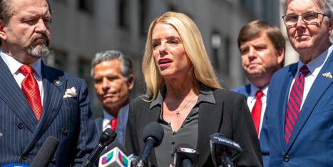 'They won't shut up!' Analyst delights at huge risk of MAGA Epstein craze - Raw Story | Operation Phobos | Scoop.it