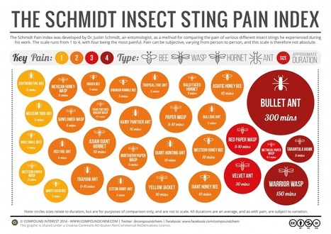 The Chemical Compositions of Insect Venoms | Rainforest CLASSROOM | Scoop.it