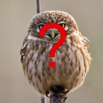 Is the world ending Friday? Maybe, maybe not, but curiosity could be infectious | ICT Security-S&eacute;curit&eacute; PC et Internet | Scoop.it