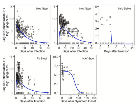 Systematic Review and Meta-Analysis of Enteric Virus Shedding in Human Excretions | Virus World | Scoop.it
