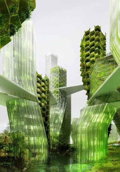 Les microalgues : véritable « eldorado » de l’énergie | Build Green, pour un habitat écologique | Scoop.it