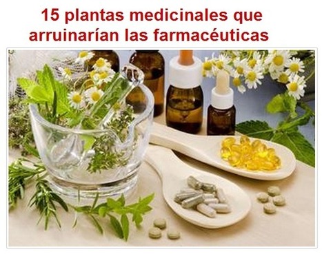 15 plantas medicinales que arruinarían las farmacéutica | PIENSA en VERDE | Scoop.it