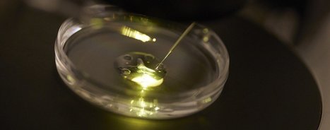 Suisse : Eviter le tourisme de la procr&eacute;ation m&eacute;dicalement assist&eacute;e | Bio&eacute;thique & Procr&eacute;ation | Scoop.it