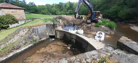 Publication du rapport 2024 de Dam Removal Europe sur l’effacement des barrages | Regards croisés sur la transition écologique | Scoop.it