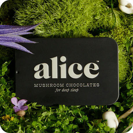 Alice mushrooms joue la carte du chocolat aux champignons adaptogènes | AGROALIMENTAIRE | Scoop.it