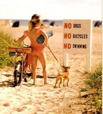 NO.... | Essentiels et SuperFlus | Scoop.it