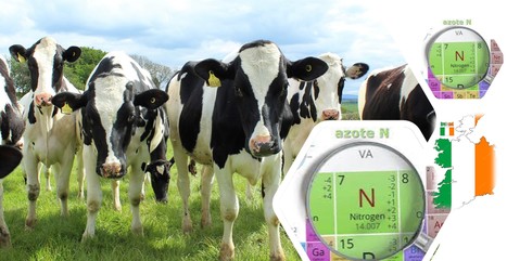 Irlande : Plus de 40 000 vaches pourraient être abattues à cause des nitrates | Lait de Normandie... et d'ailleurs | Scoop.it