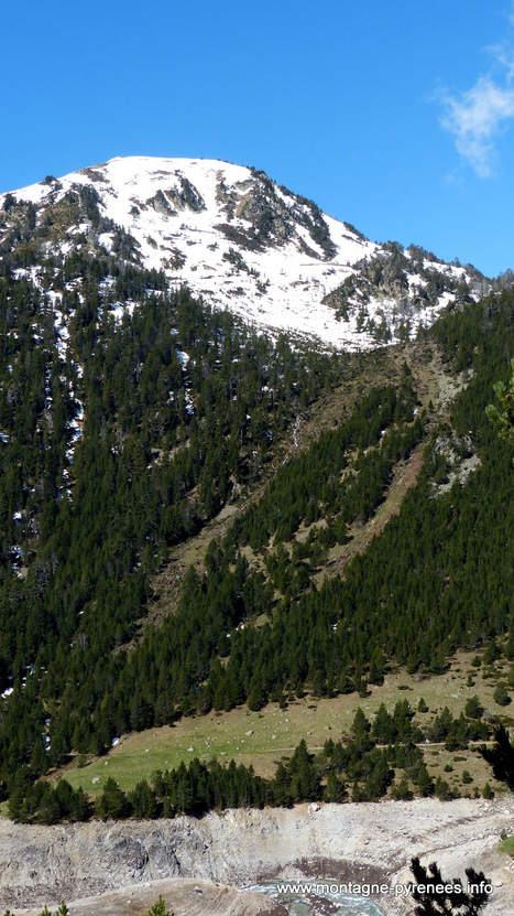 L'avalanche de poudreuse qui a dévasté la pinède en aval d'Estibère | Vallées d'Aure & Louron - Pyrénées | Scoop.it