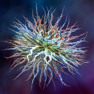 Nanomaterials offer hope for cerebral palsy | Amazing Science | Scoop.it