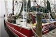 Gulf fisheries in decline after oil disaster | MOVUS  Movement for a Sustainable Uruguay | Scoop.it
