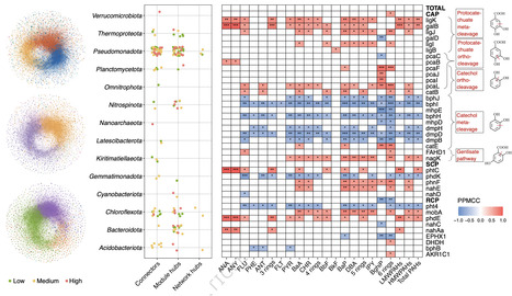 Microbial communities and plasmids mediate biodegradation of polycyclic aromatic hydrocarbons (PAHs) in coastal sediments | ComB | RMH | Scoop.it