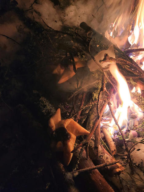 Y&ouml;n yli -retki talvisessa mets&auml;ss&auml; ilman telttaa, revontulien tanssiessa taivaalla &ndash; Retkipaikka | 1Uutiset - Lukemisen t&auml;hden | Scoop.it